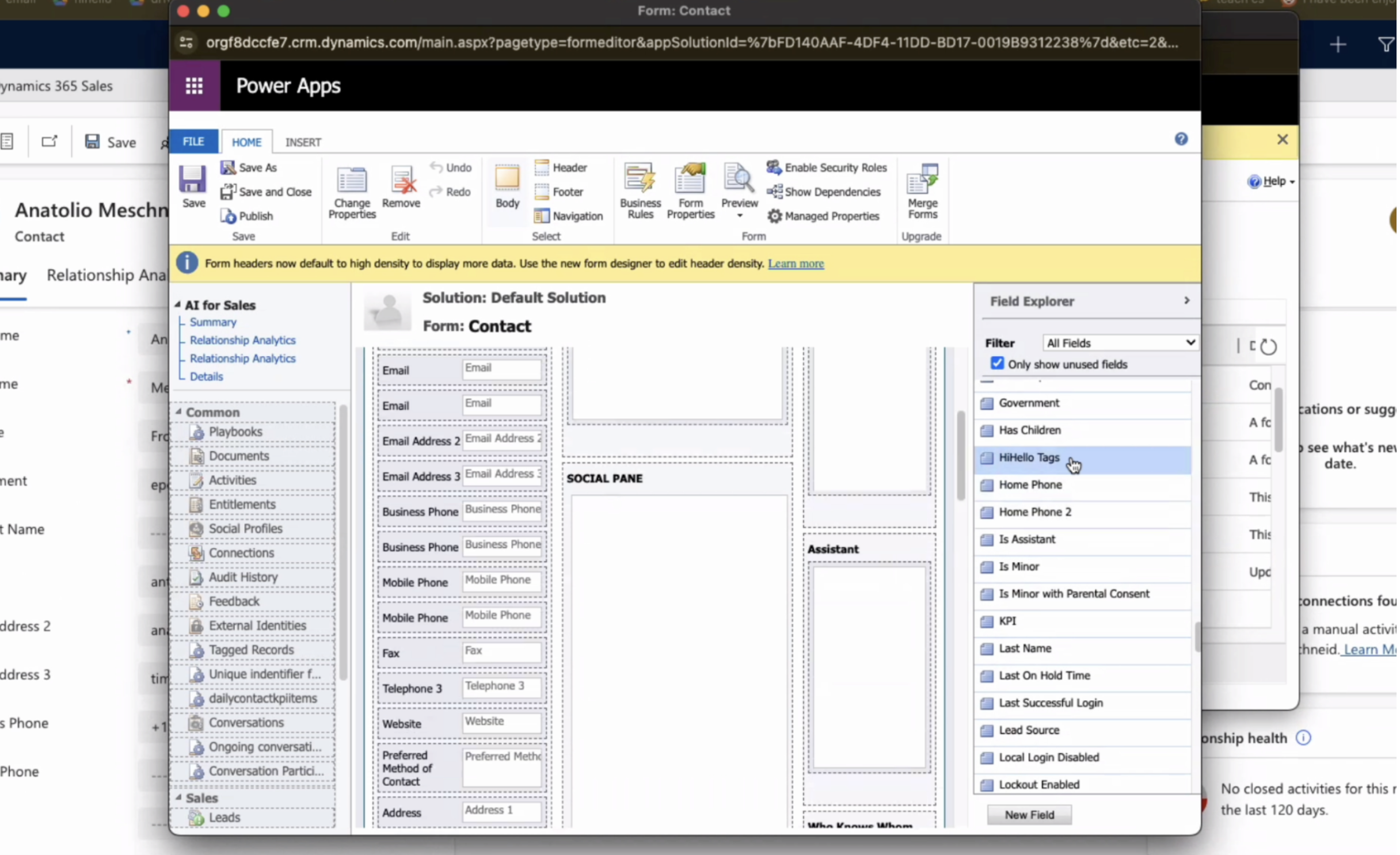 Dynamics HiHello tag on contact form.png