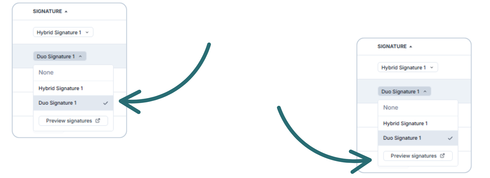 Signature drop and preview button.png
